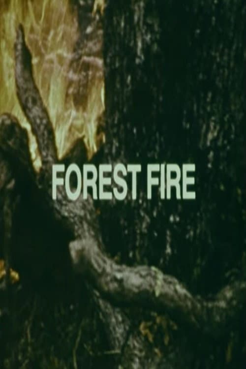 Poster for Your Chance to Live: Forest Fire