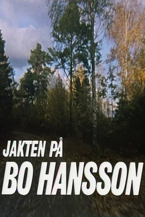 Poster for The Hunt for Bo Hansson