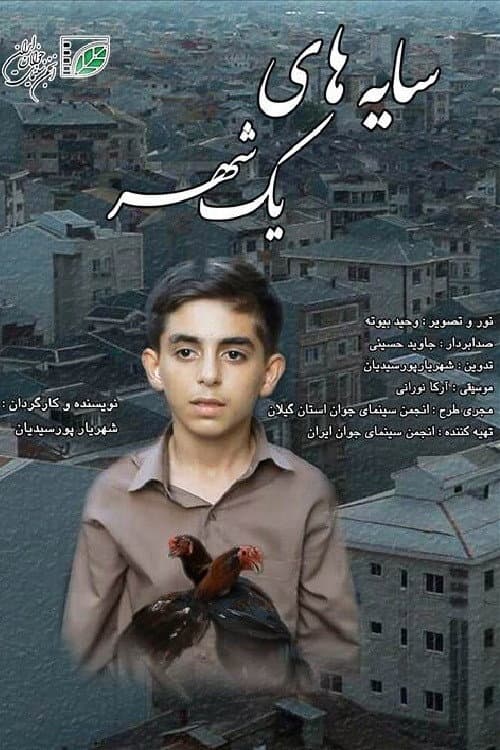 Poster for The Shadows of A City