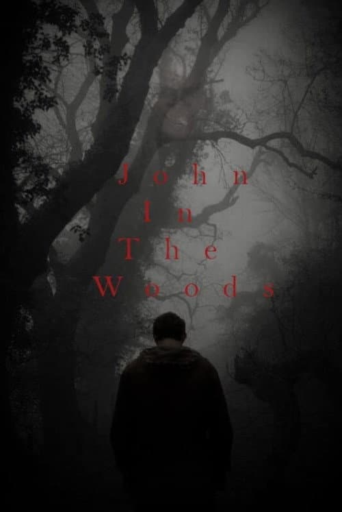 Poster for John in the Woods