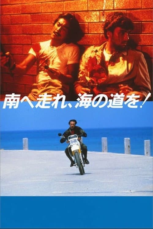 Poster for South to the Horizon