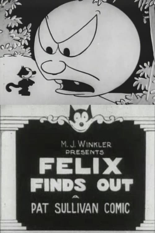 Poster for Felix Finds Out