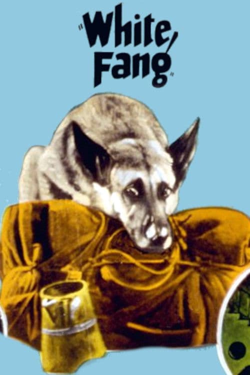 Poster for White Fang