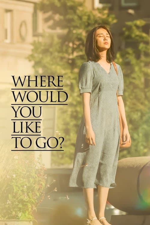 Poster for Where Would You Like to Go?