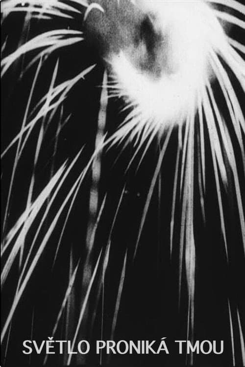 Poster for The Light Penetrates the Dark