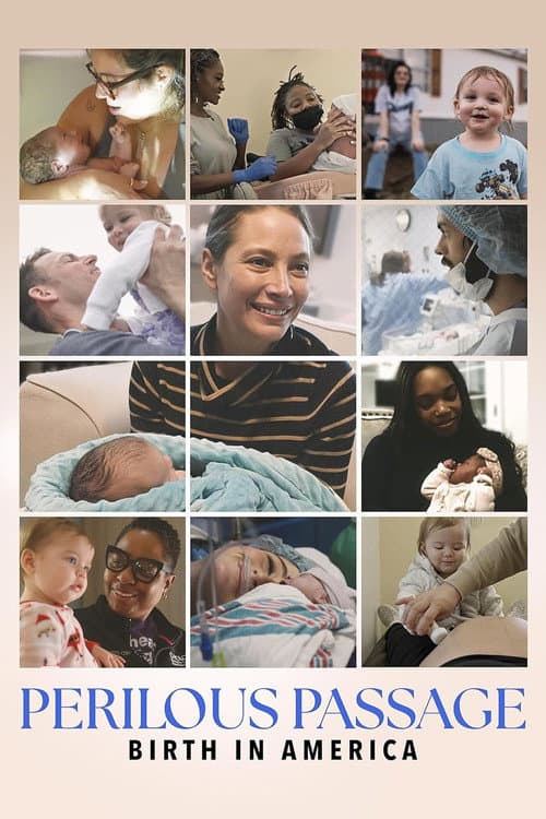 Poster for Perilous Passage: Birth in America