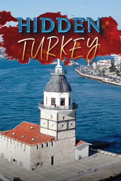 Постер до фільму «Hidden Turkey»