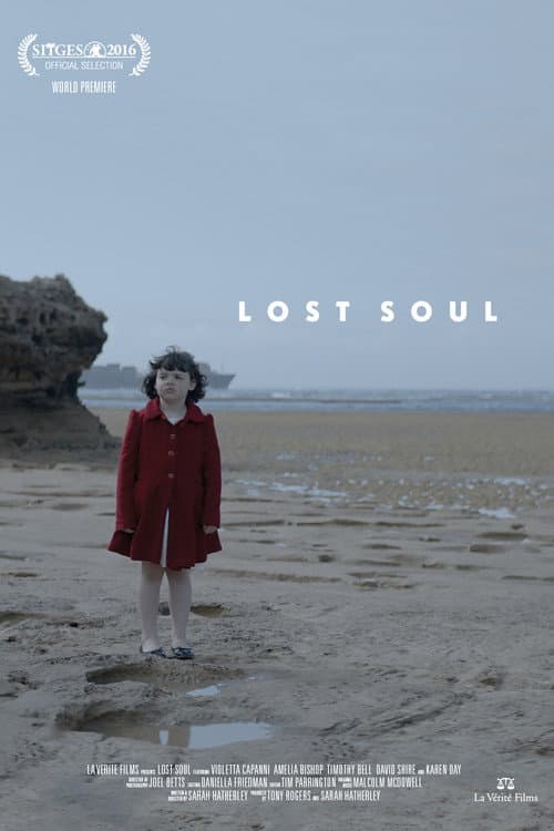 Poster for Lost Soul