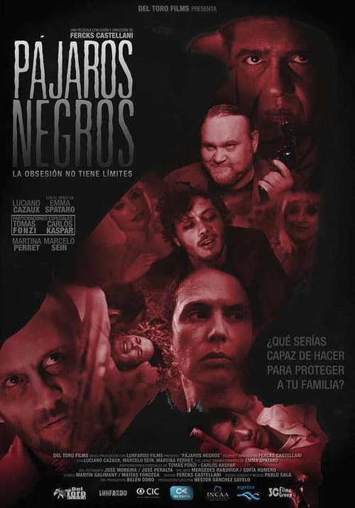 Poster for Pájaros negros