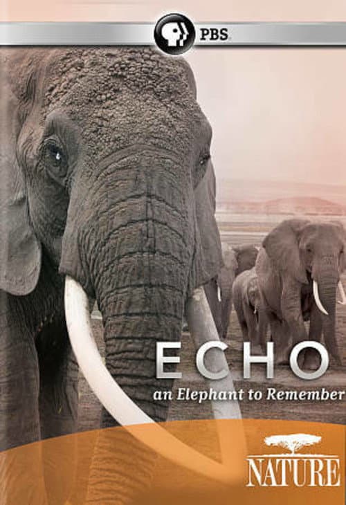 Poster for Echo: An Elephant to Remember