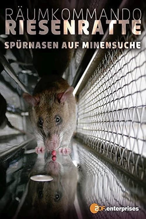 Poster for Räumkommando Riesenratte - Spürnasen auf Minensuche