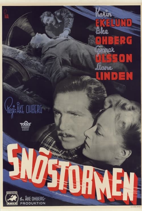 Poster for Snöstormen