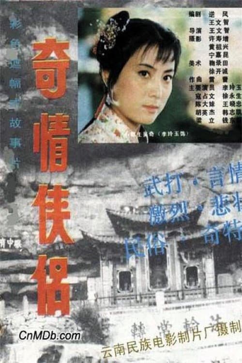 Poster for 奇情侠侣