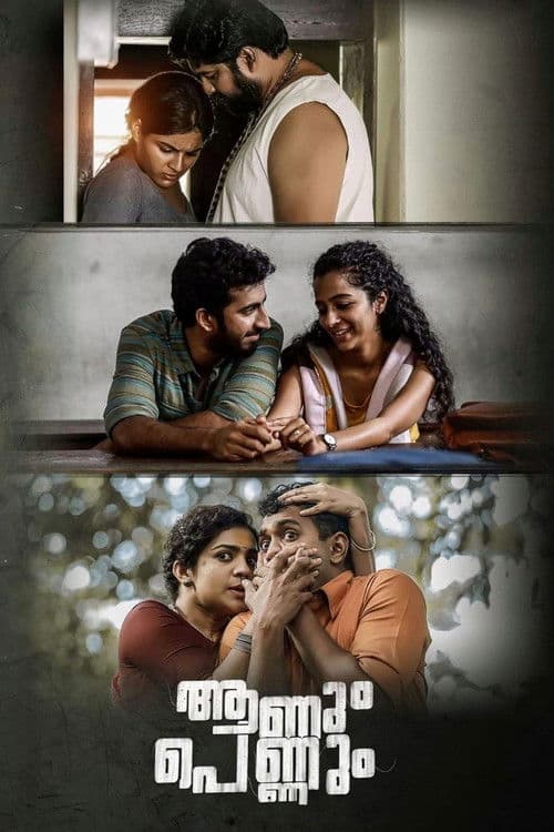 Poster for Aanum Pennum