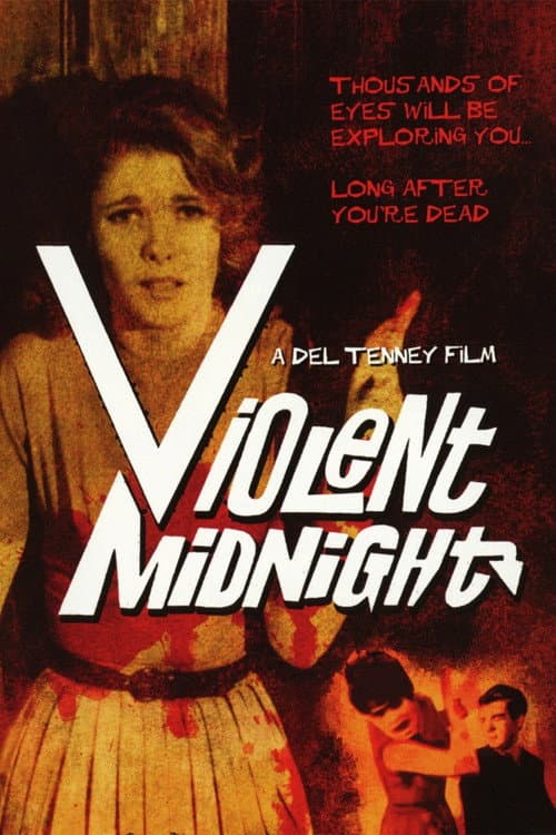 Poster for Violent Midnight