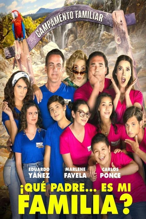 Poster for What Father… Is My Family?