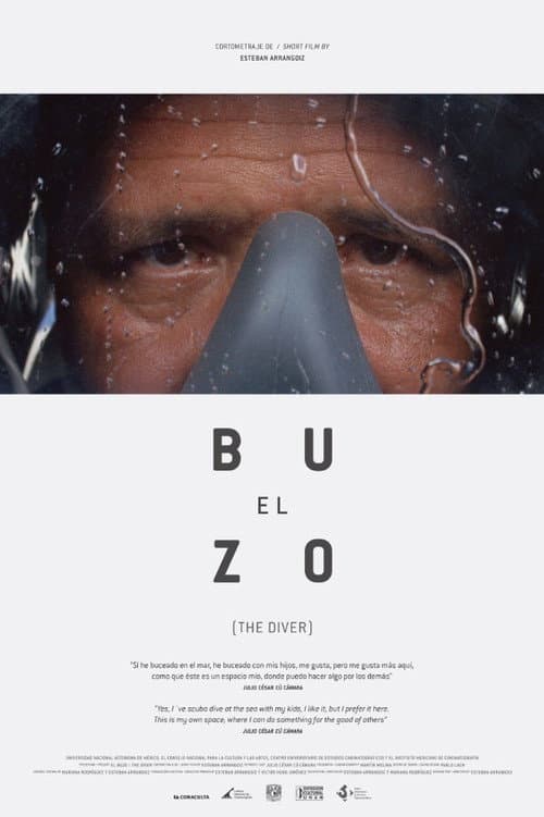 Poster for The Diver