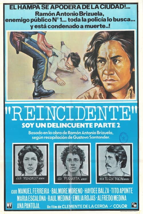 Poster for Second Offender
