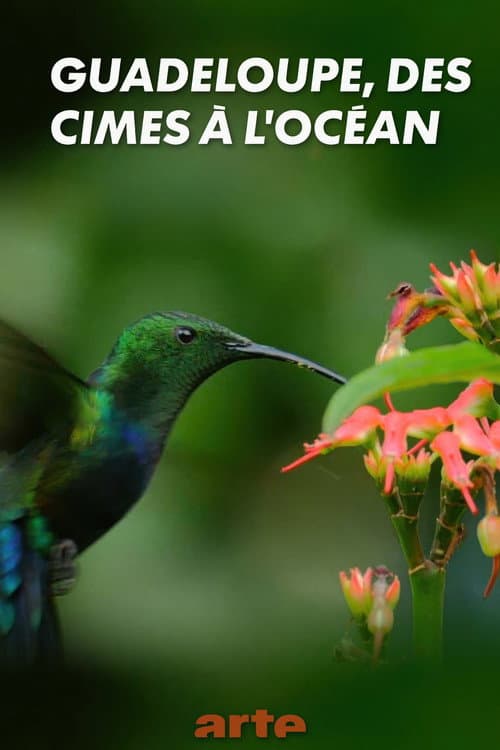 Poster for Guadeloupe, from Summits to Ocean