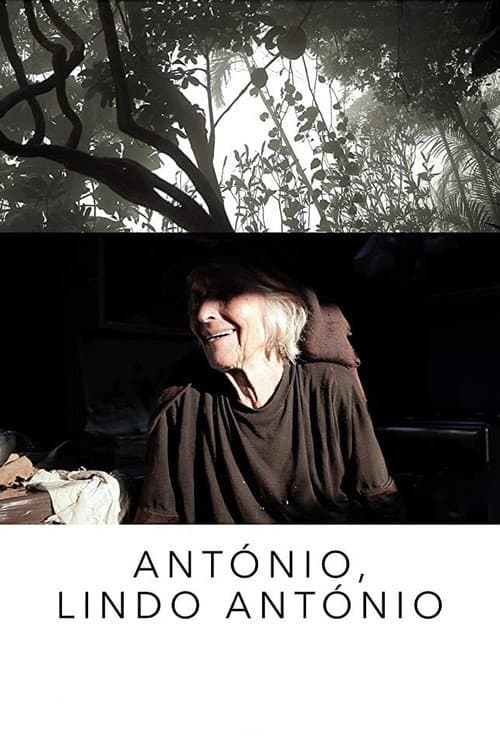 Poster for António, Dashing António