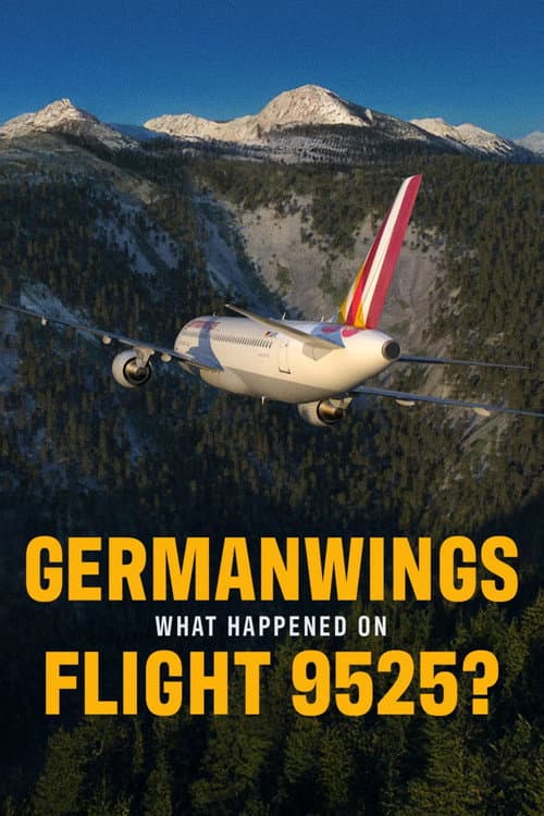 Poster for Germanwings: What Happened on Flight 9525?
