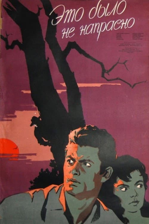 Poster for It Was Not In Vain