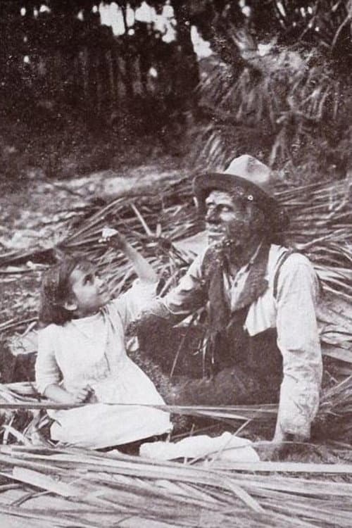 Poster for The Message of the Palms