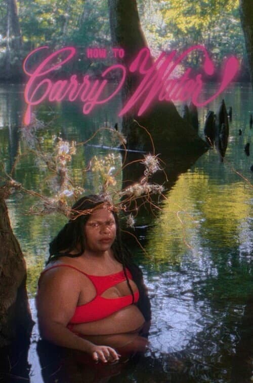 Poster for How to Carry Water
