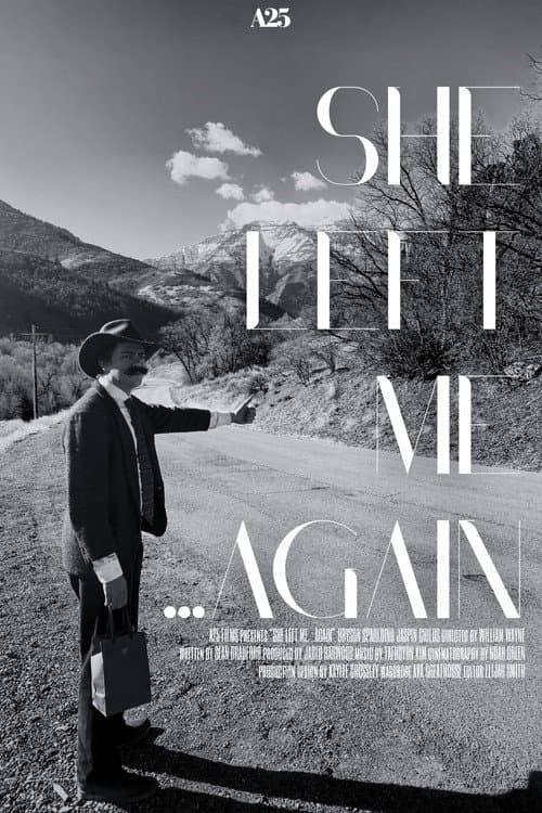 Poster for She Left me...Again