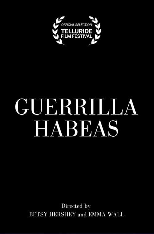 Poster for Guerrilla Habeas
