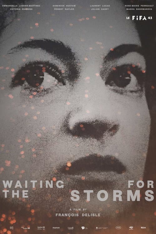 Poster for Waiting for the Storms