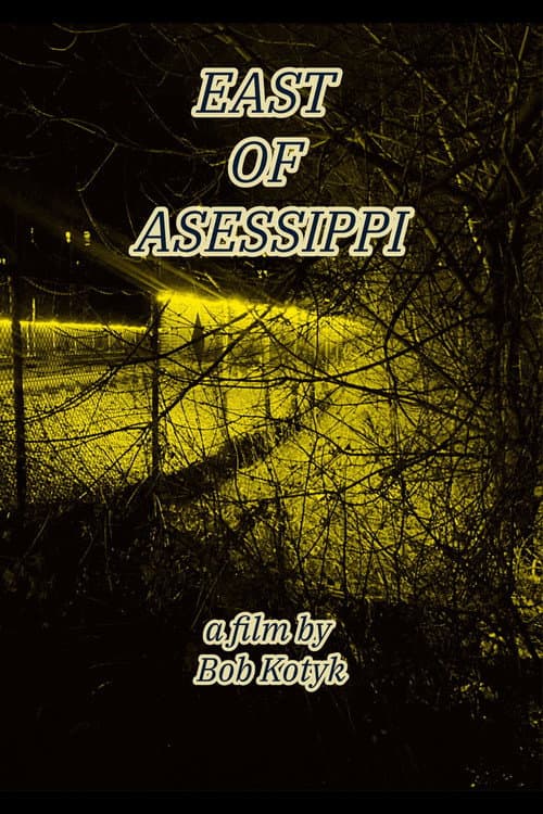 Poster for East of Asessippi