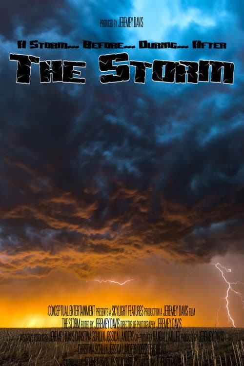 Poster for The Storm