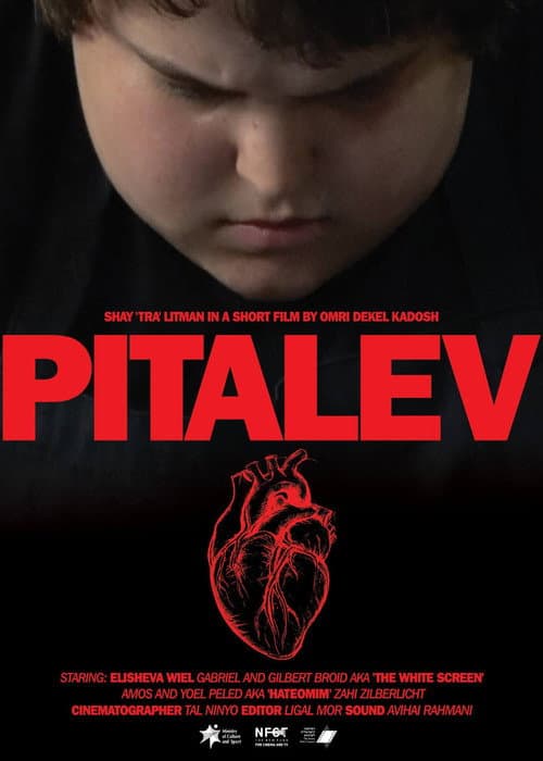 Poster for Pitalev