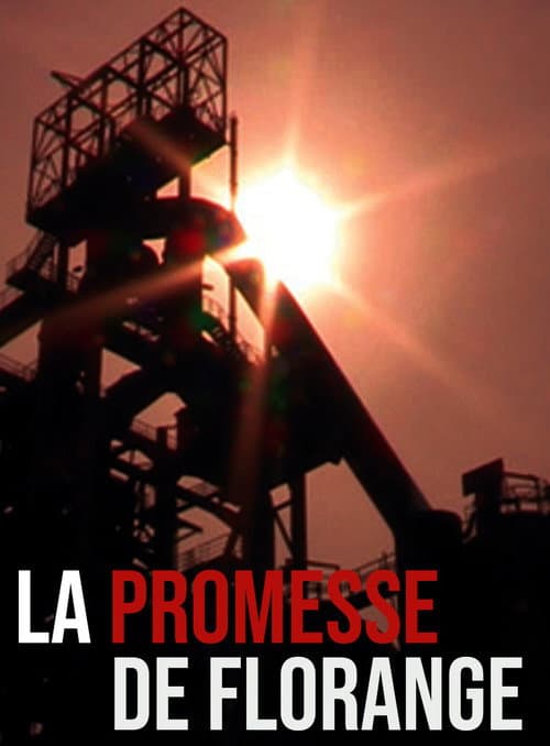 Poster for La promesse de Florange