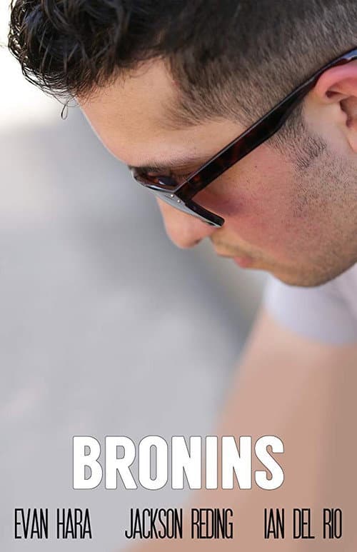 Poster for The Bronins