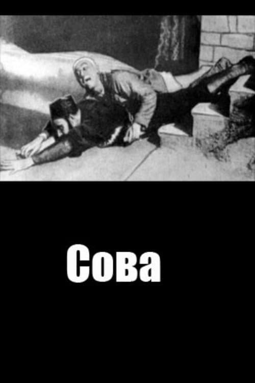 Постер до фільму «Сова (фільм, 1924)»