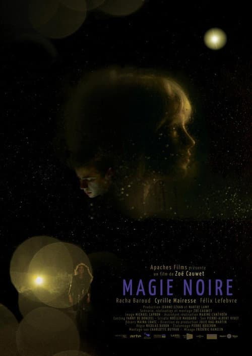 Poster for Midnight Sun