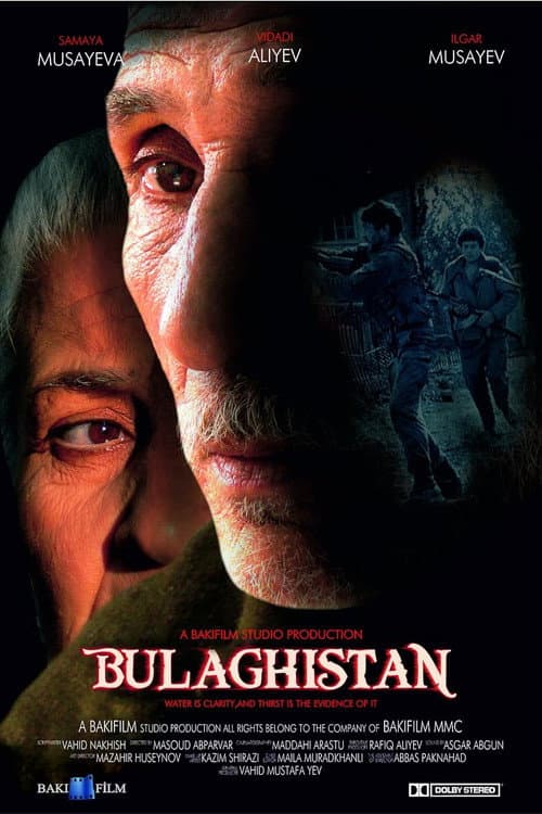 Poster for Bulaqistan