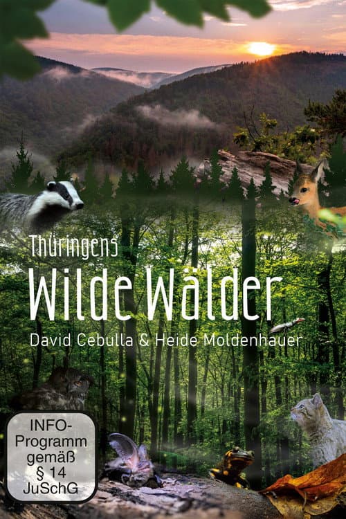 Poster for Wild Forests