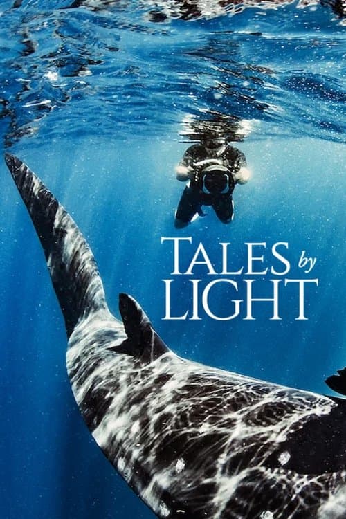 Poster for Tales by Light