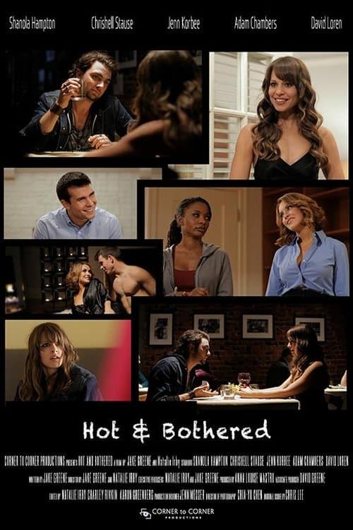 Poster for Hot and Bothered: Feminist Pornography