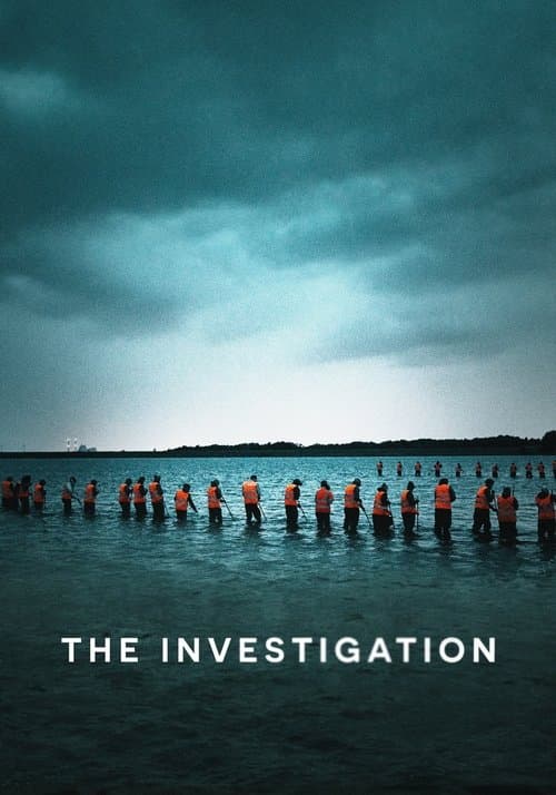 Poster for The Investigation