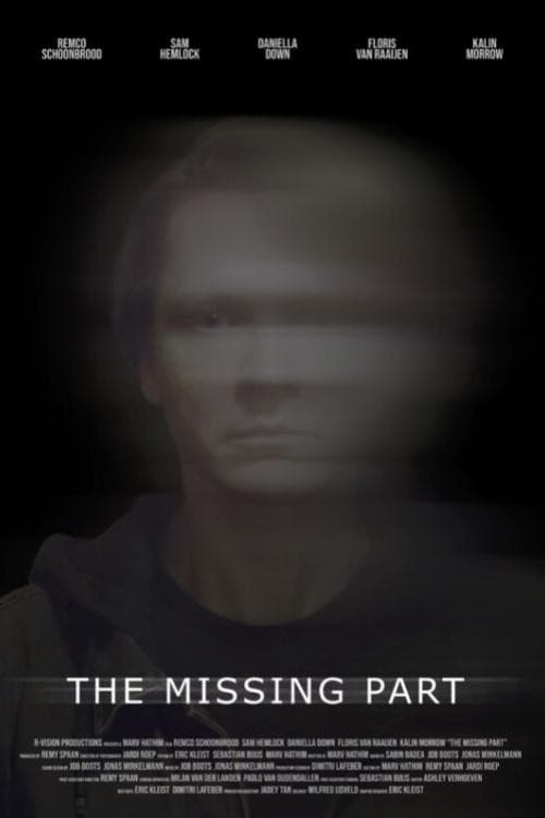 Poster for The Missing Part