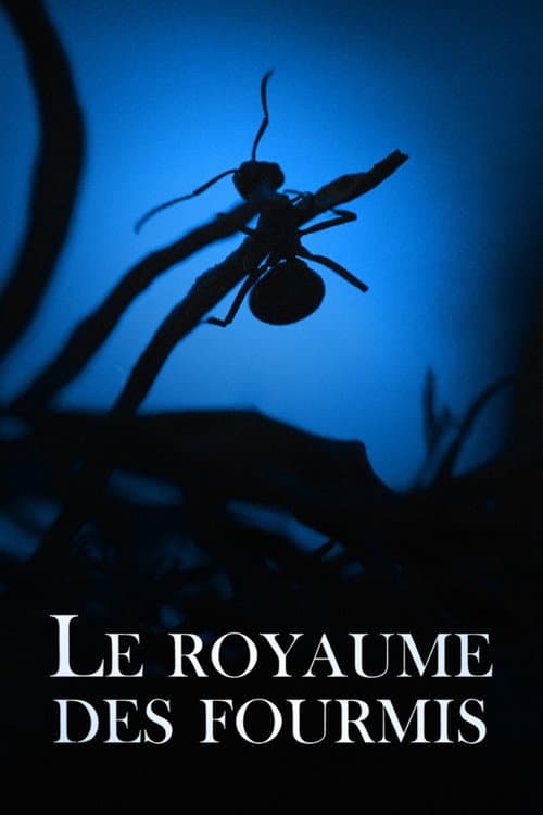 Poster for Le Royaume des fourmis