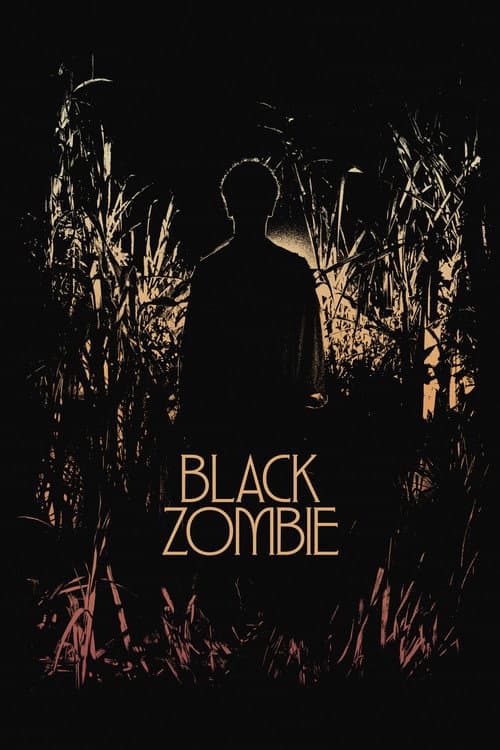 Poster for Black Zombie