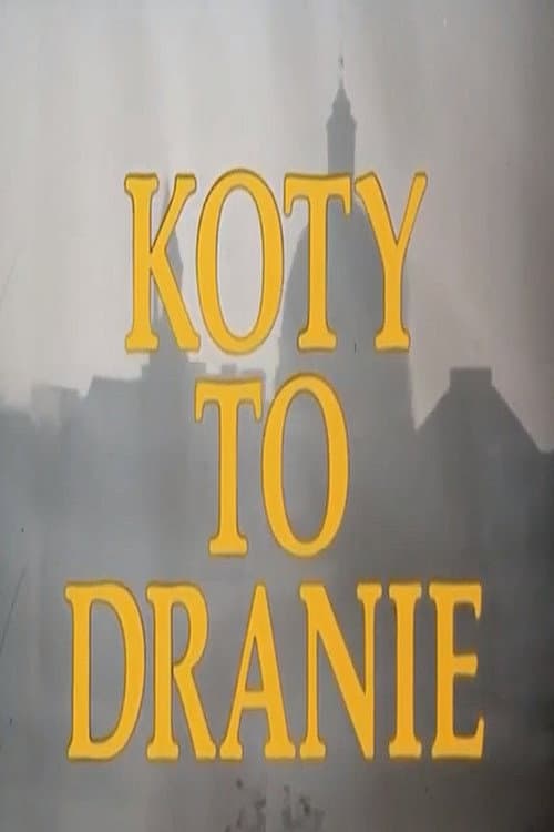 Poster for Koty to dranie