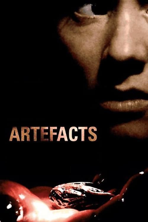 Poster for Artifacts