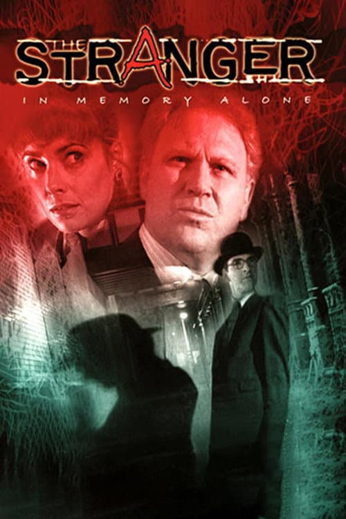 Poster for The Stranger: In Memory Alone