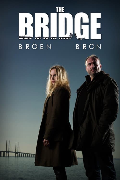Poster for The Bridge